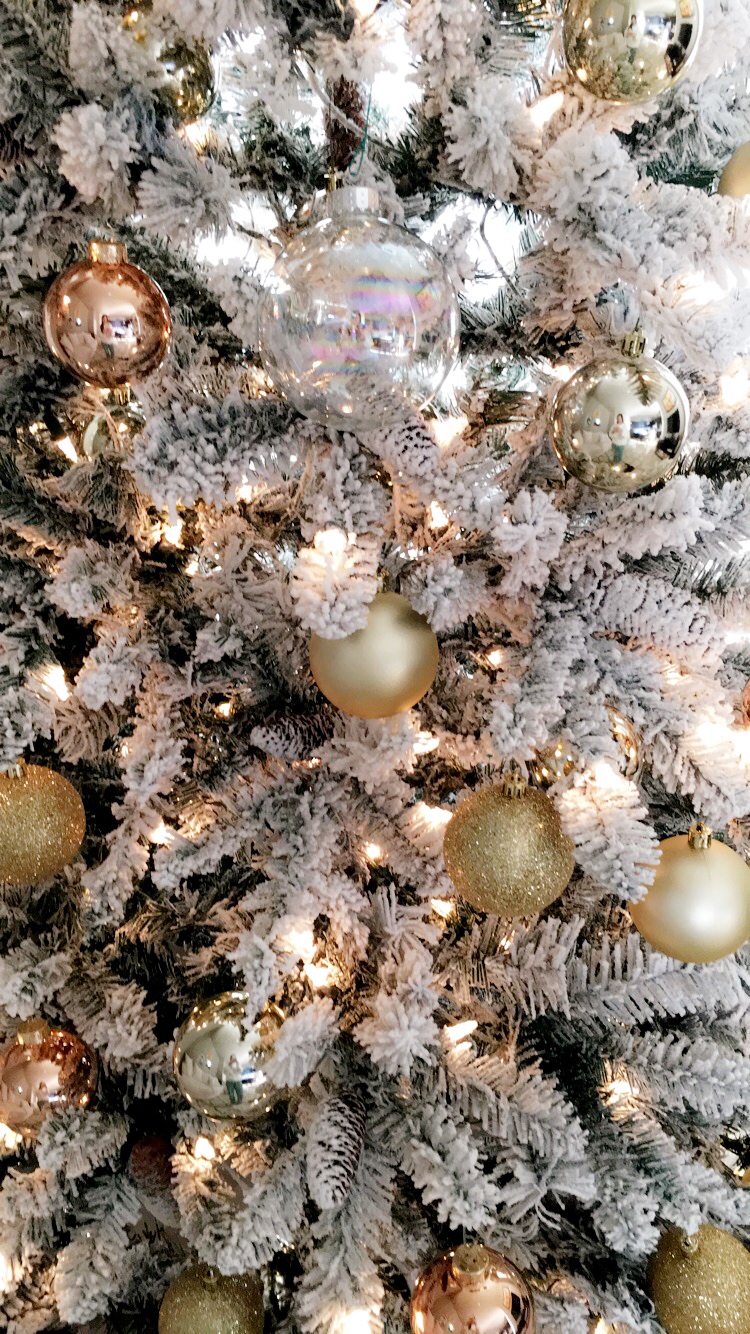 BC36F38E-0B05-4E43-B67C-036D4F8DC0B1