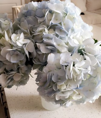 26235FE4-2D60-4428-9AAE-EF14BEAE7971