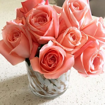 988E2FD0-E7F6-410E-B76D-48BF189D8C8F